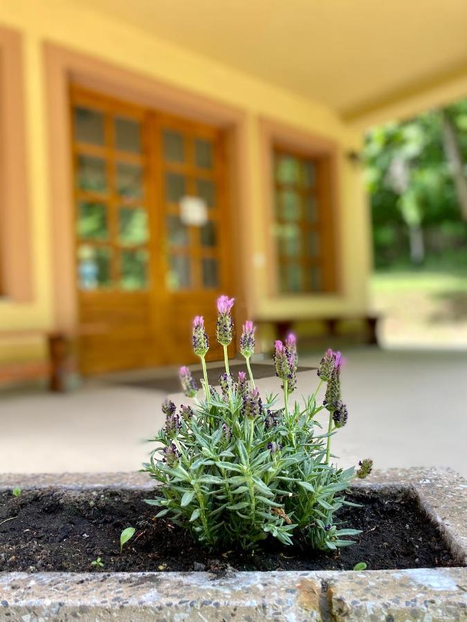 Hotel Szelcepuszta Vadaszhaz Extérieur photo